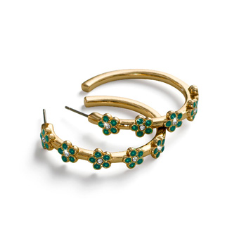 ARGOLLAS LILIA VERTI